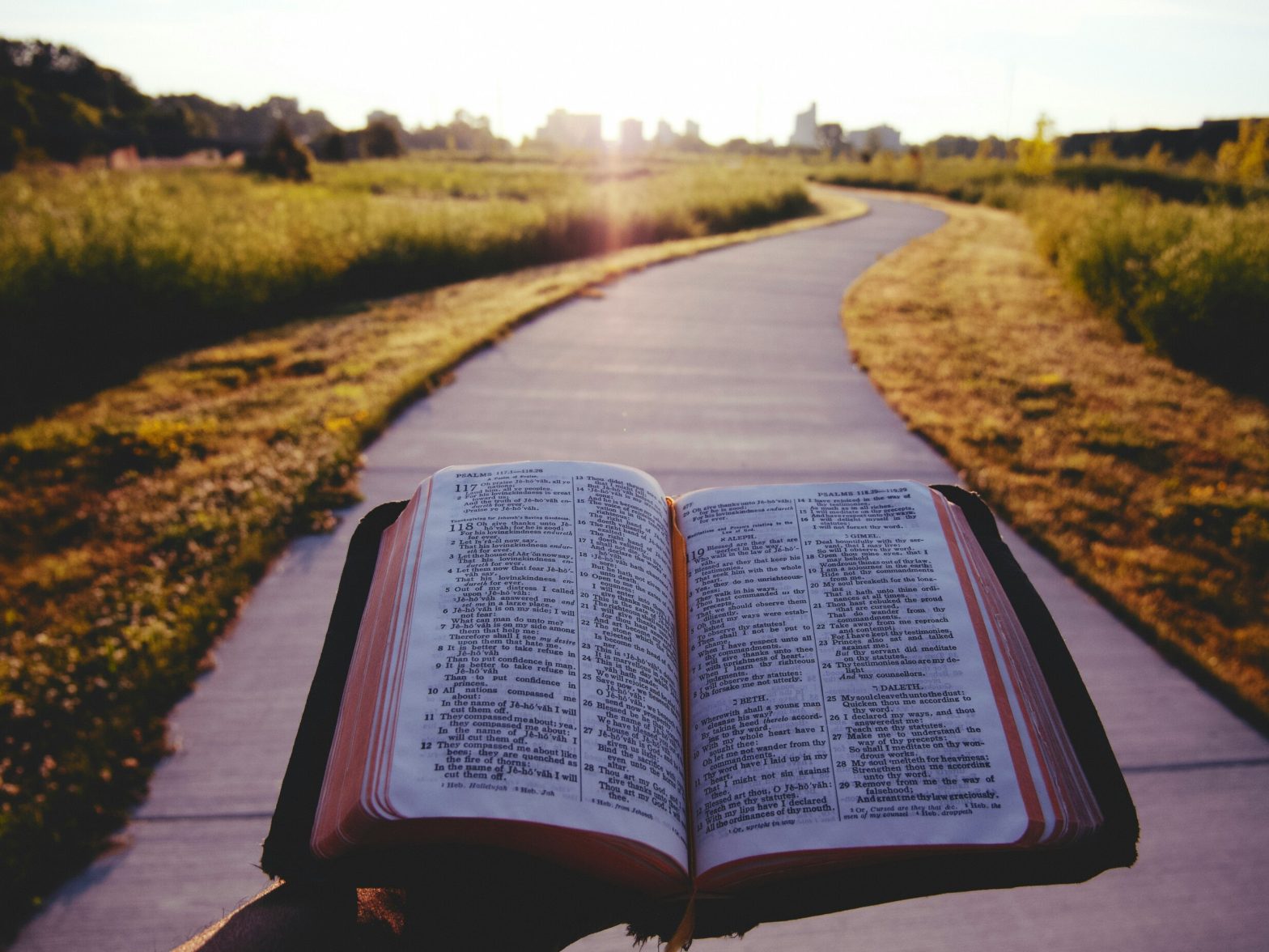 An image of a bible and a path