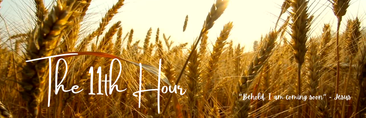 “Behold, I am coming soon“ - Jesus 2